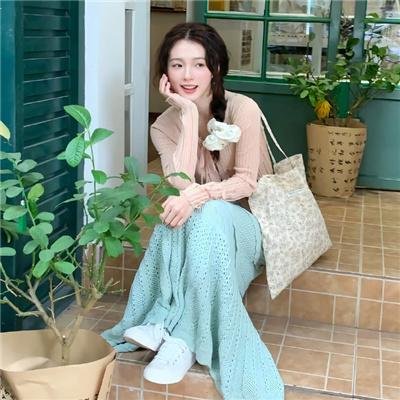 芭比的粉红舞鞋